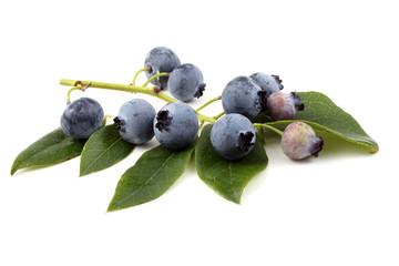 Cluster of blueberries