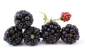 Blackberries