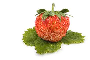 Strawberry and leaf
