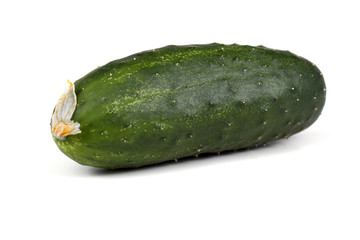 Cucumber