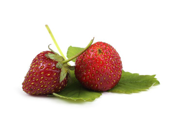 Strawberries on leaf