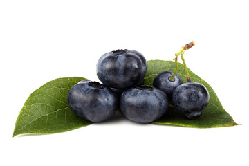 Blueberries on leaves