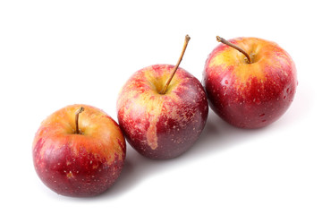 Little wild apples