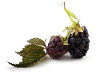 Blackberries and leaves