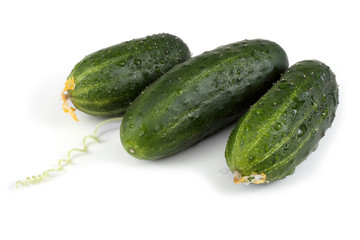 Cucumbers and tendrils