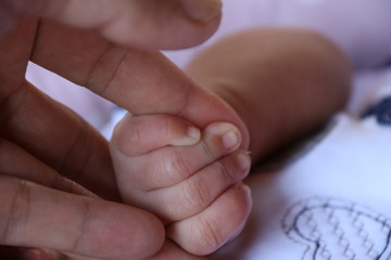 baby holding mothers hand