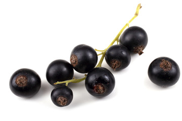 Cluster of black currant