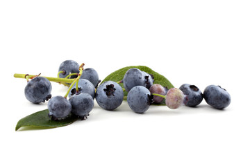 Cluster of blueberries