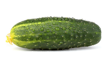 Cucumber isolated on white