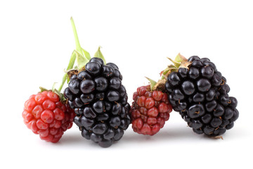 Blackberries