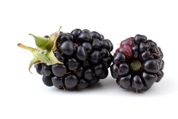 Blackberries