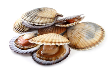 Opened and closed scallops