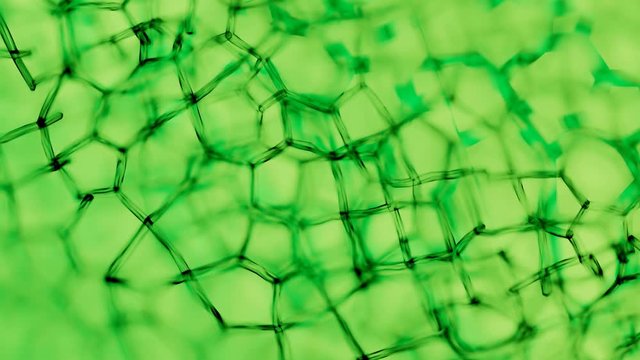 Generic green plant cells under a microscope. Seamless looping animation.
