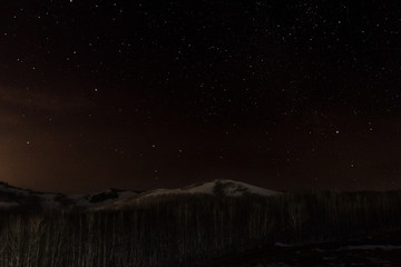 Starry night on the background of the forest and mountains