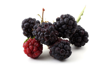 Cluster of blackberries