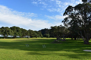 A beautiful park in Auckland