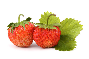 Strawberries and leaf