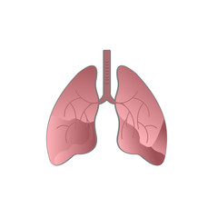Human Lungs Art Vector Illustration. Medicine Design Background