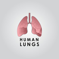 Human Lungs Art Vector Illustration. Medicine Design Background