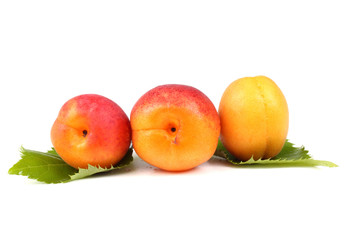Apricots on leaves