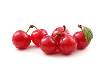 Far eastern cherry and leaf