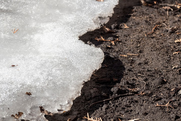 Snow is gradually melting on the lawn.