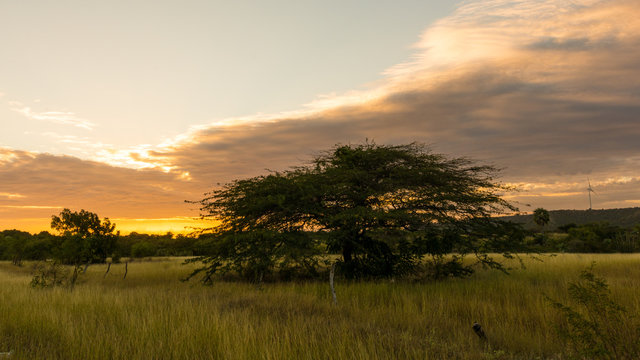 sunset over green field © Edwin