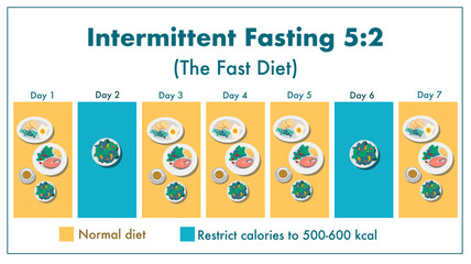 Intermittent fasting 5:2 or The fast diet :  Normal meal for 5 day per week and restrict calories to 500-600 kcal in 2 days per week. Vector illustration, flat design