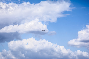 blue sky with white clouds