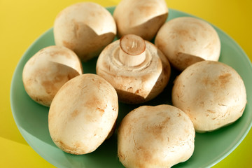 Fototapeta premium Mushrooms champignons on a yellow background close up