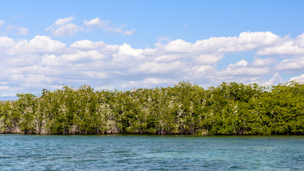 landscape with river and blue sky