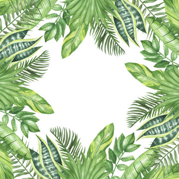 Square frame tropical leaves