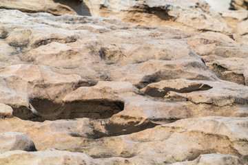 Rock fragments on the shore