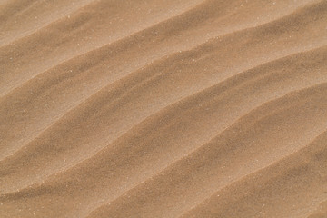 Sand dunes in the desert background