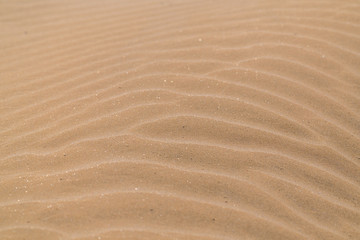 Sand dunes in the desert background