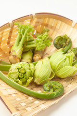 山菜の盛り合わせ