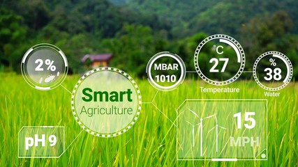 Smart digital agriculture technology by futuristic sensor data collection management by artificial intelligence to control quality of crop growth and harvest. Computer aided plantation grow concept.