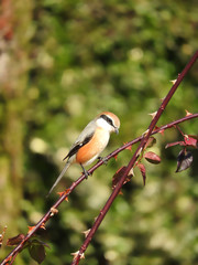 足元注意