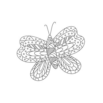 Hand drawn vector illustration. Cute butterfly on a white background, coloring book for children. Simple form in Doodle style.