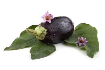 Aubergine, leaves and flowers
