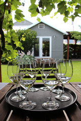 Empty wine glasses on tray