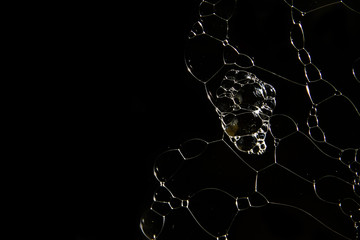 Bubbles abstract on black background