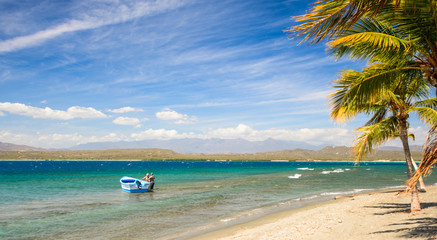 tropical beach with palm trees