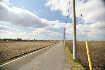 道路