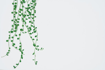 Creative layout made of papers and leaves Flat lay. Minimal nature concept.