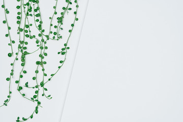 Creative layout made of papers and leaves Flat lay. Minimal nature concept.