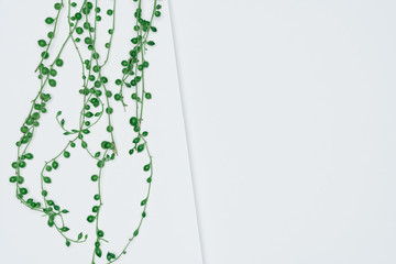 Creative layout made of papers and leaves Flat lay. Minimal nature concept.