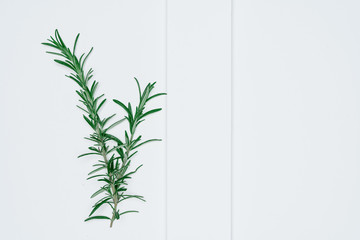 Creative layout made of papers and leaves Flat lay. Minimal nature concept.