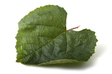 Grape leaf