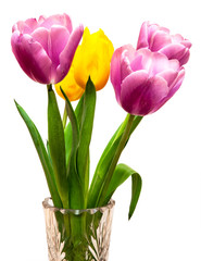 isolated bouquet of five flowers